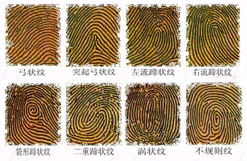 [转帖]食指显露你的爱情观[附图]