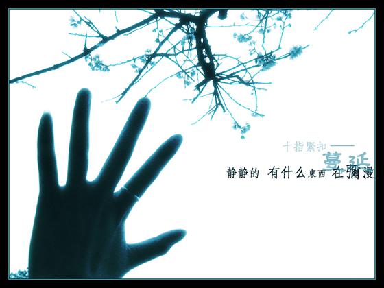 唯美的伤感