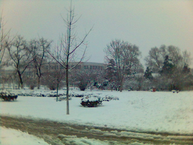 2006年的第一场雪