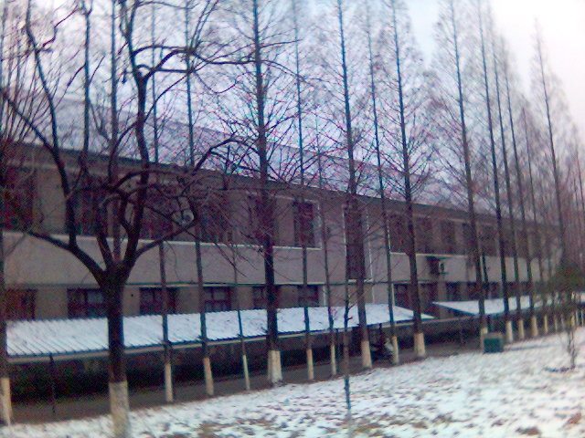 2006年的第一场雪