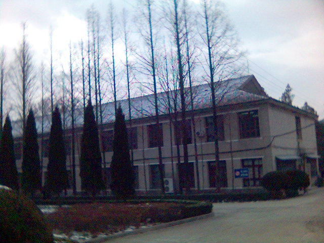 2006年的第一场雪