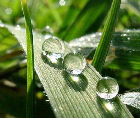 第一丝的阳光就这样悄悄落