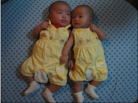 6vf20YZj.bmp