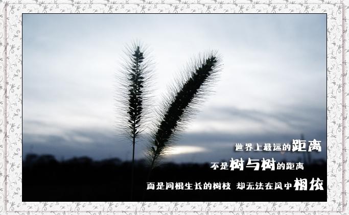 [分享]世界上最远的距离……