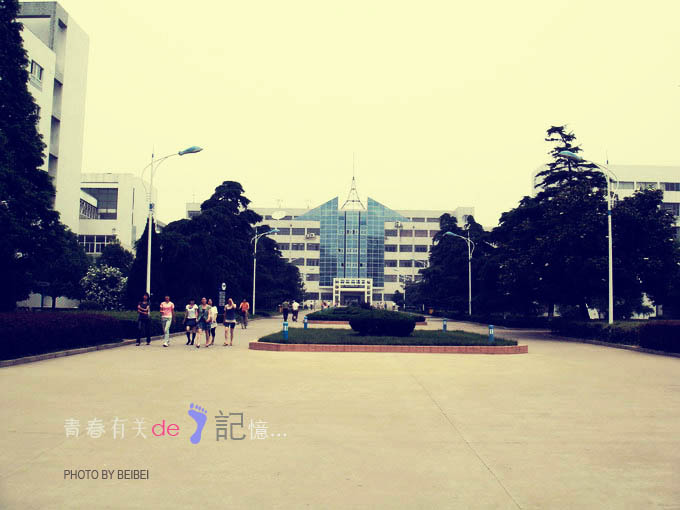 【母校40图】青春有关的记忆
