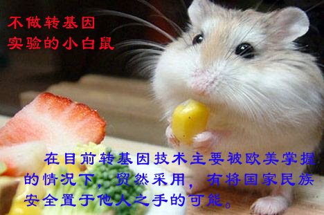 A0817A.jpg